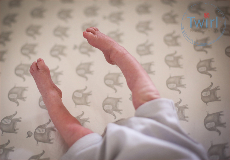 A newborn stretching his legs in his crib with an elephant sheet. 