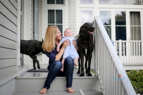 New Orleans Dog Photography