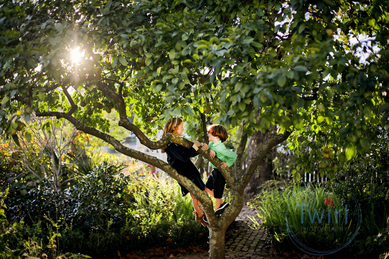 Two kids in a tree in the front garden of the Pitot House in New Orleans for family photos.