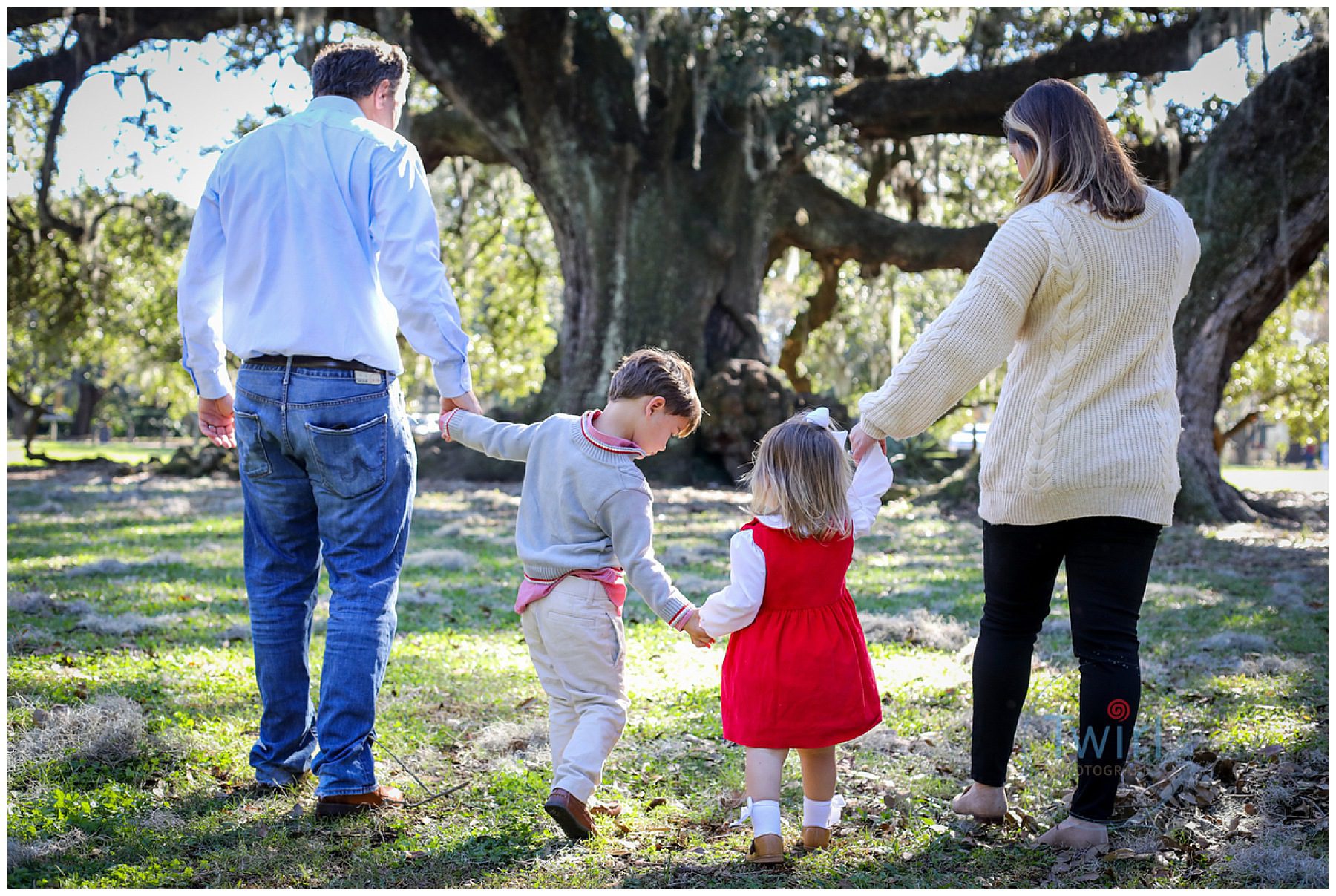 A family of four walking in front of a large oak tree in New Orleans