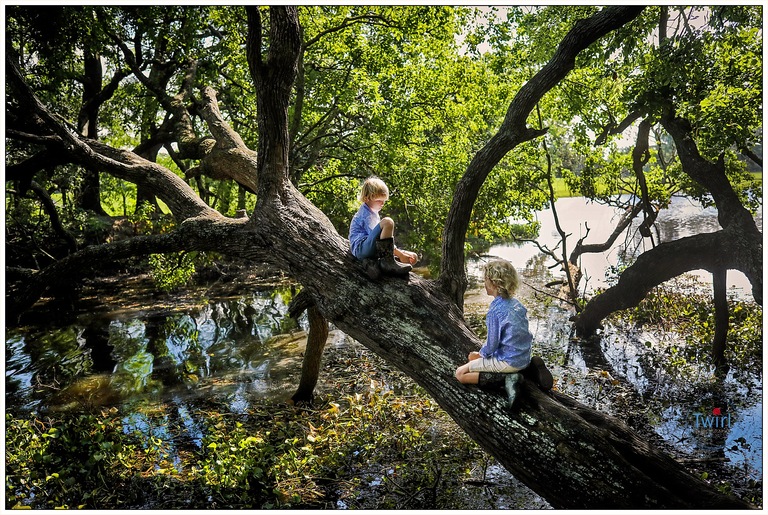 Two brother sitting on a log at Couturie Forest in New Orleans for photos.