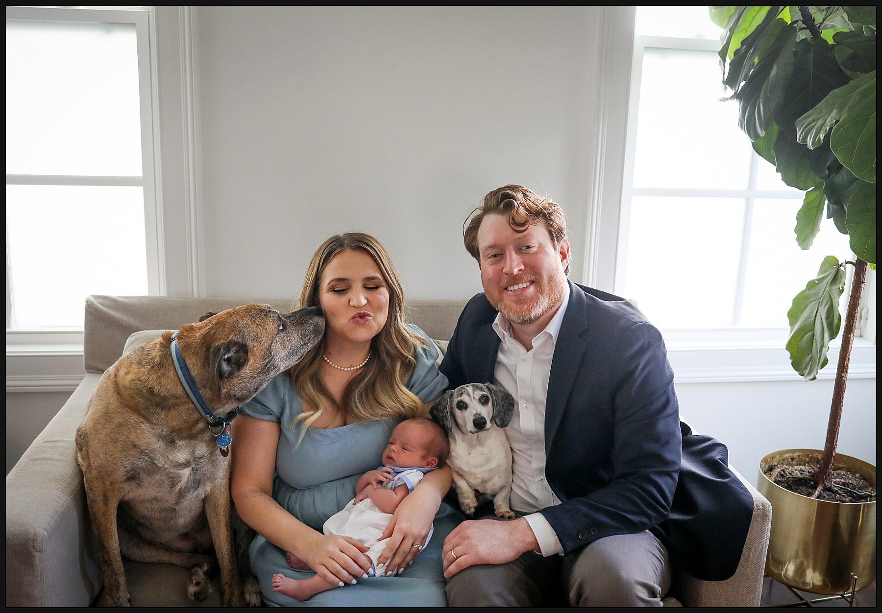 A family portrait of mom, dad, newborn baby boy and two dogs during in home New Orleans lifestyle newborn session with Twirl Photography.