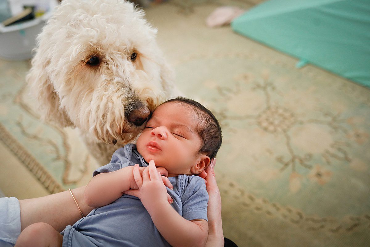 Mom holding her newborn son up to the family dog during in home New Orleans lifestyle newborn session with Twirl Photography.