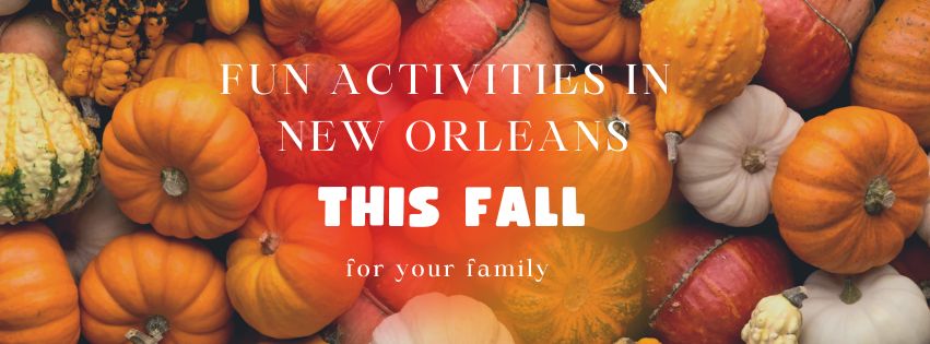 A picture of pumpkins for an article about New Orleans Fall Family Activities.