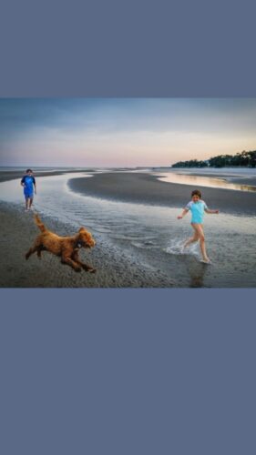 a group of children running on a beach with a dog