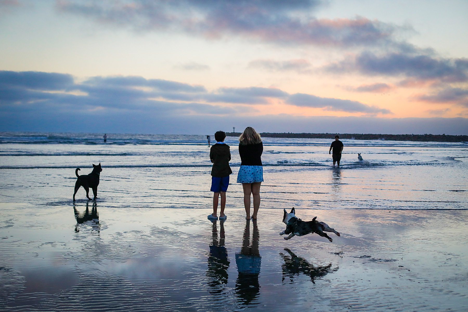 Dogs running on a beach with two kids looking out at the water.